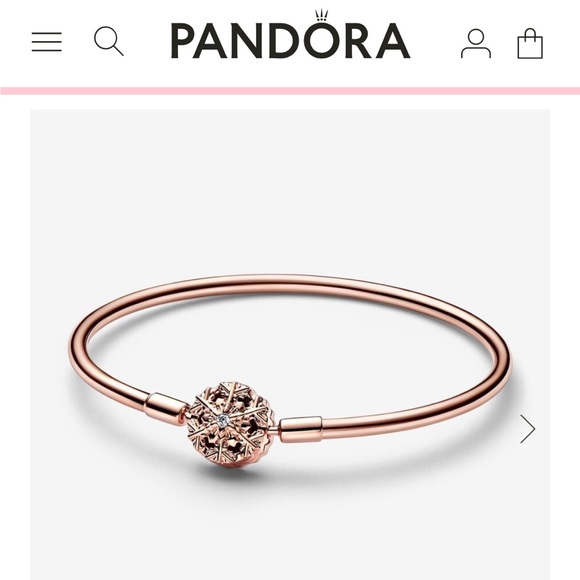 Pandora bracelet and charm - Picture 5 of 6